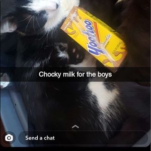 Meet your Posher, Shane